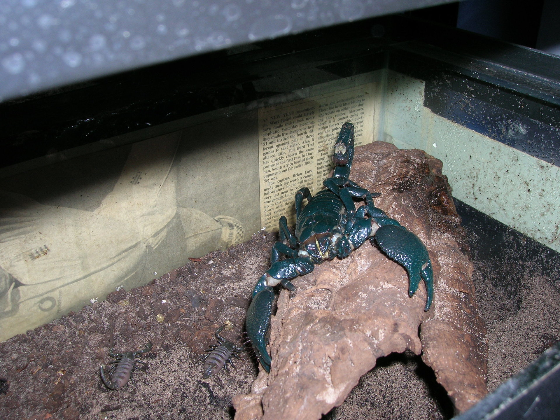 DSCN0633.JPG