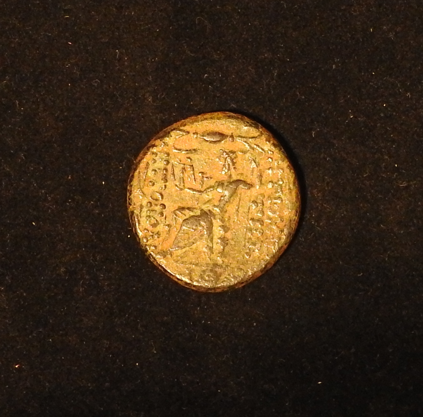 DSCN0645.JPG