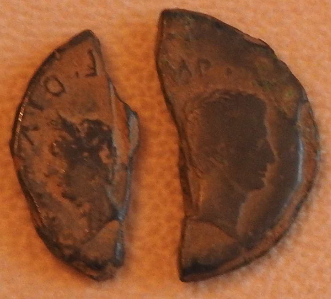 DSCN0674.JPG
