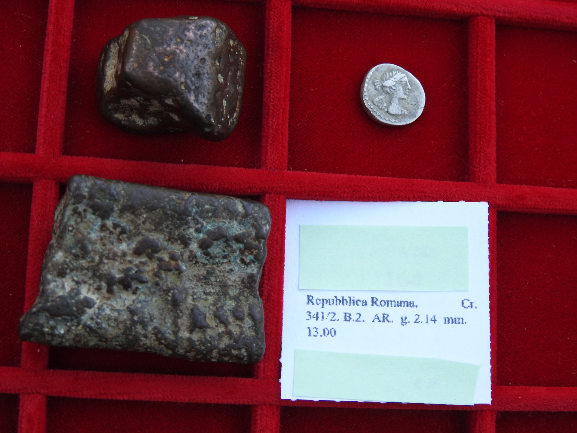 DSCN0728.JPG