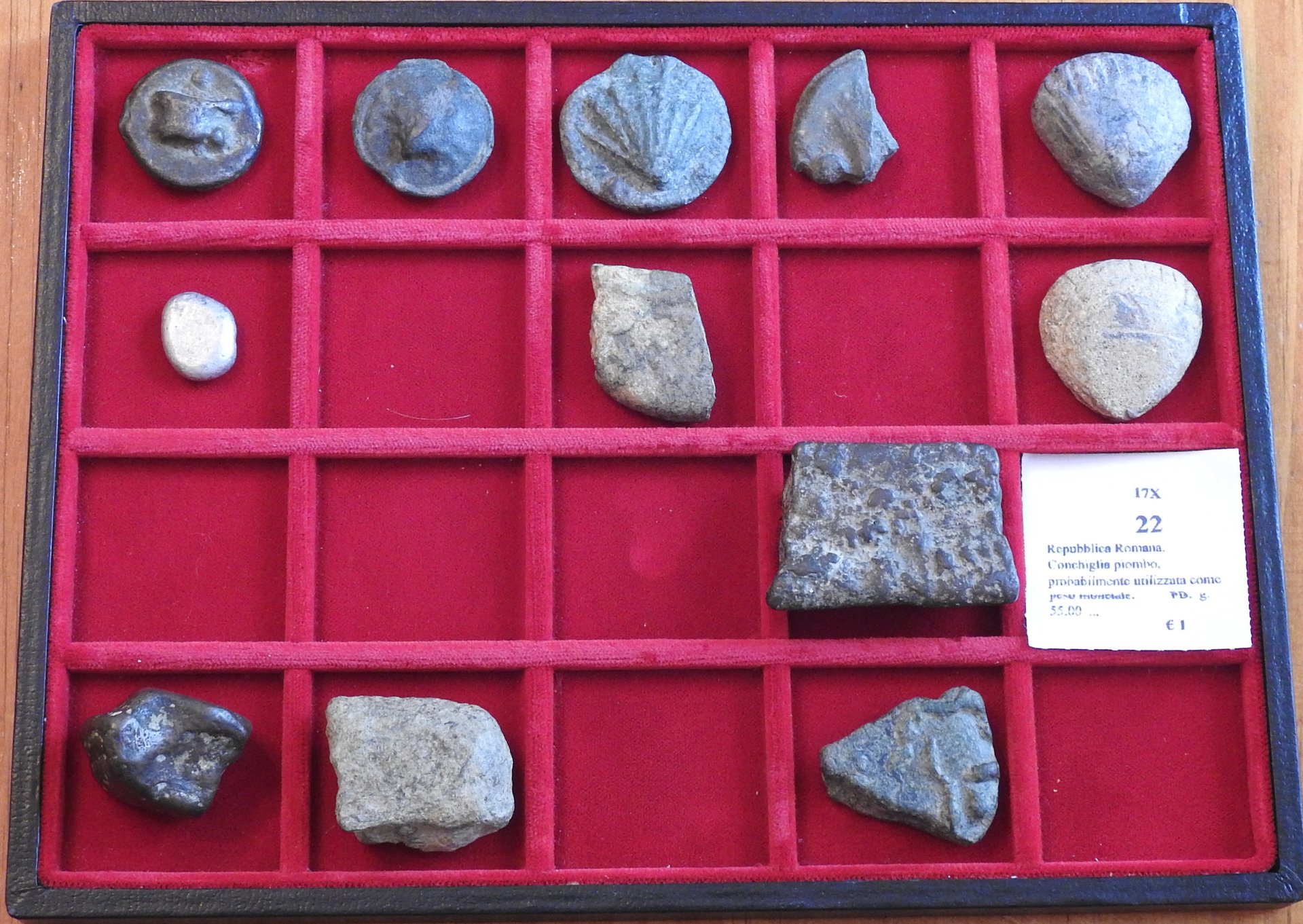 DSCN0854.JPG