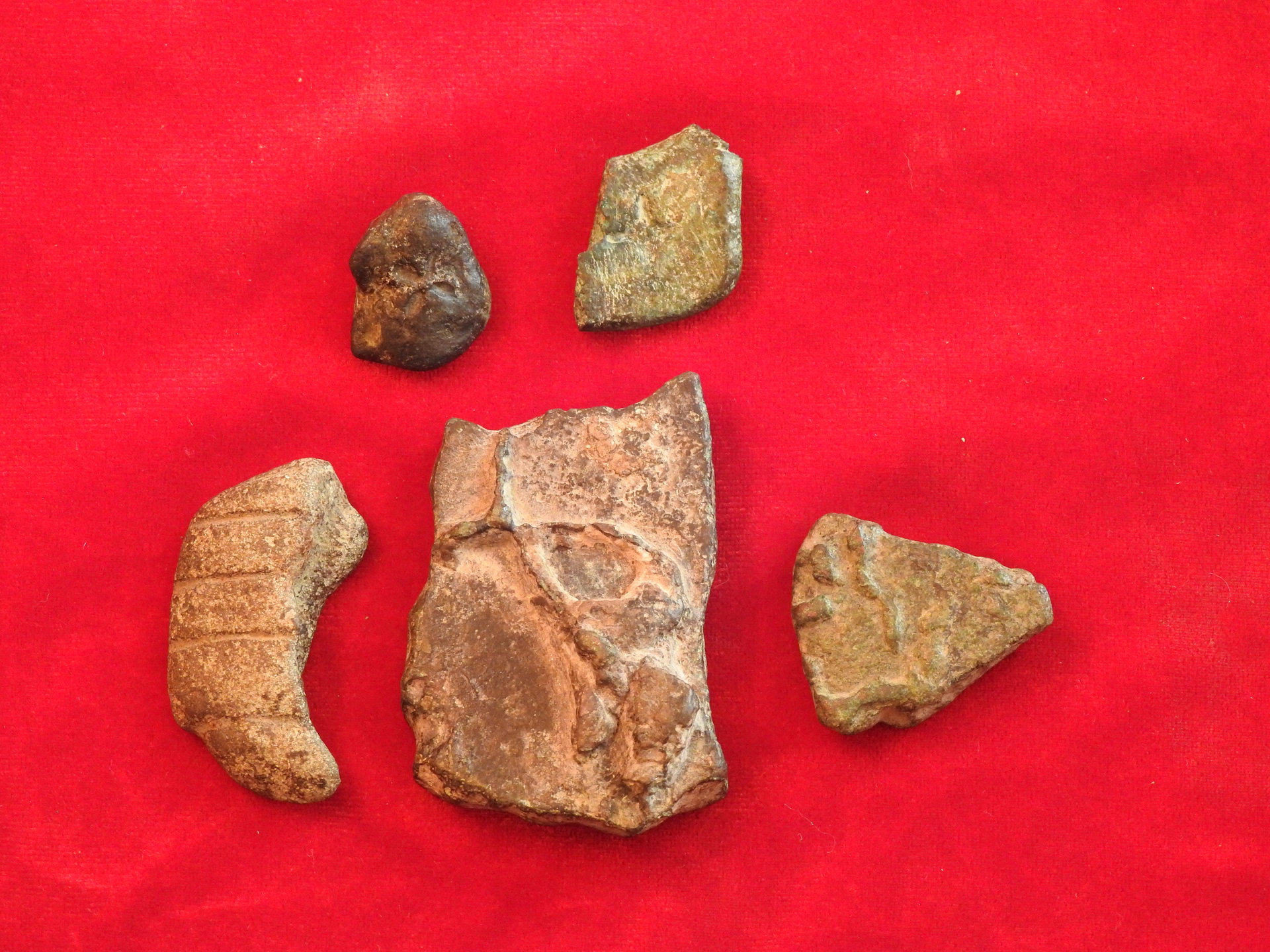 DSCN0873.JPG