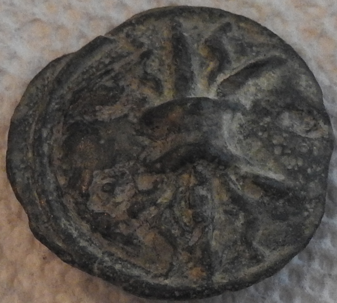 DSCN0913.JPG