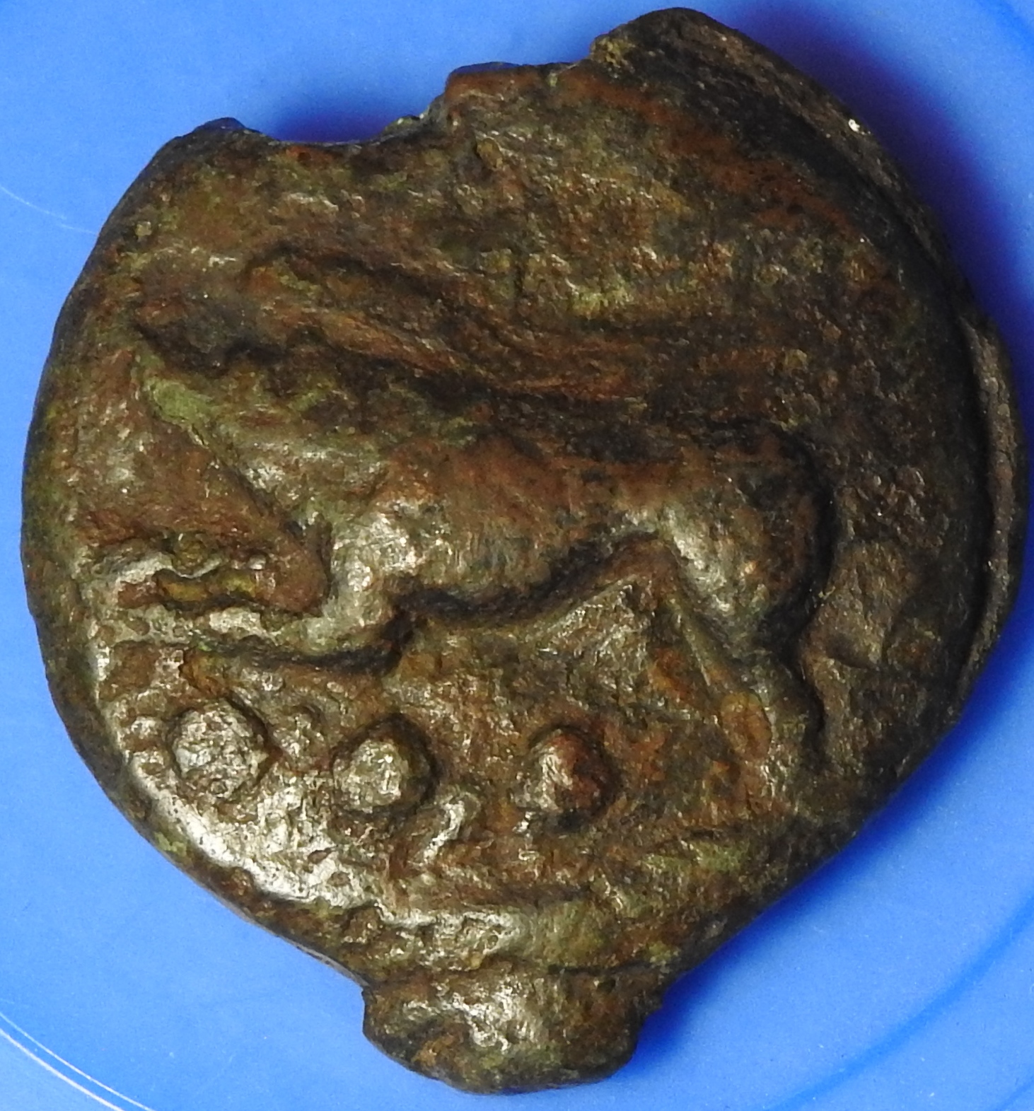 DSCN0930.JPG