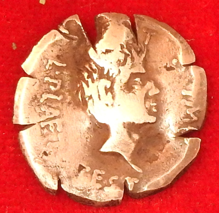 DSCN1010.JPG