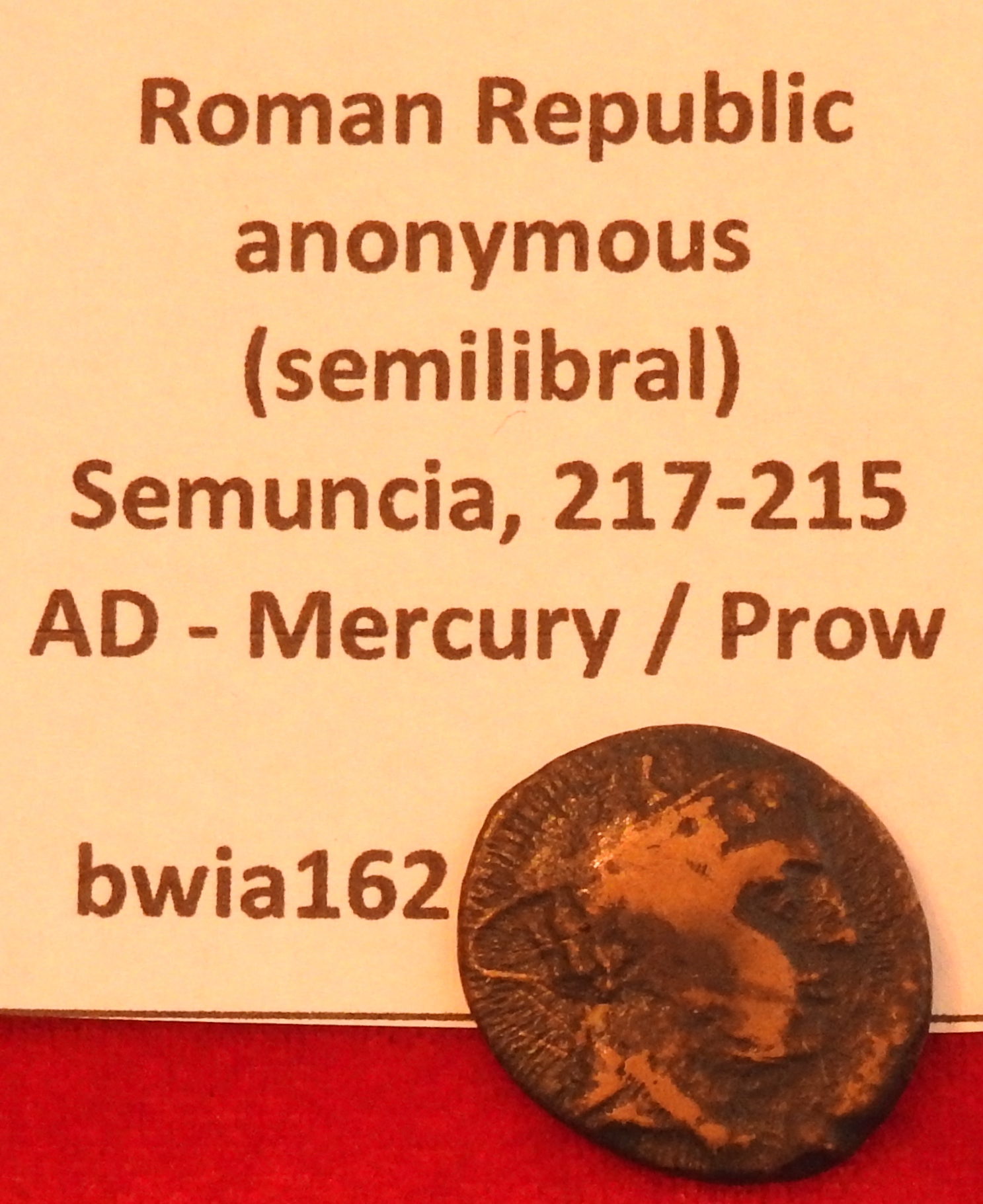 DSCN1017.JPG