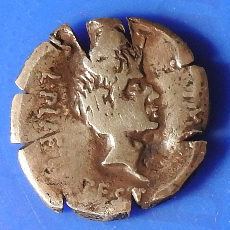DSCN1030.JPG