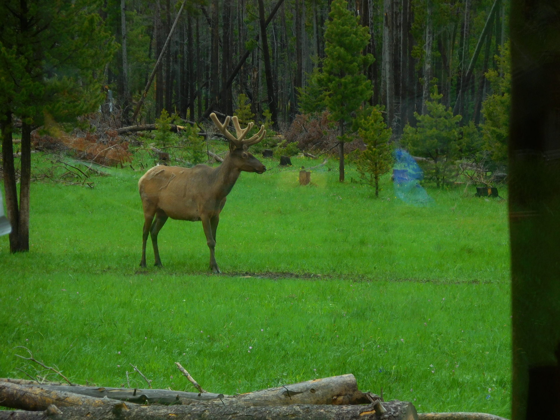 DSCN1047.jpg