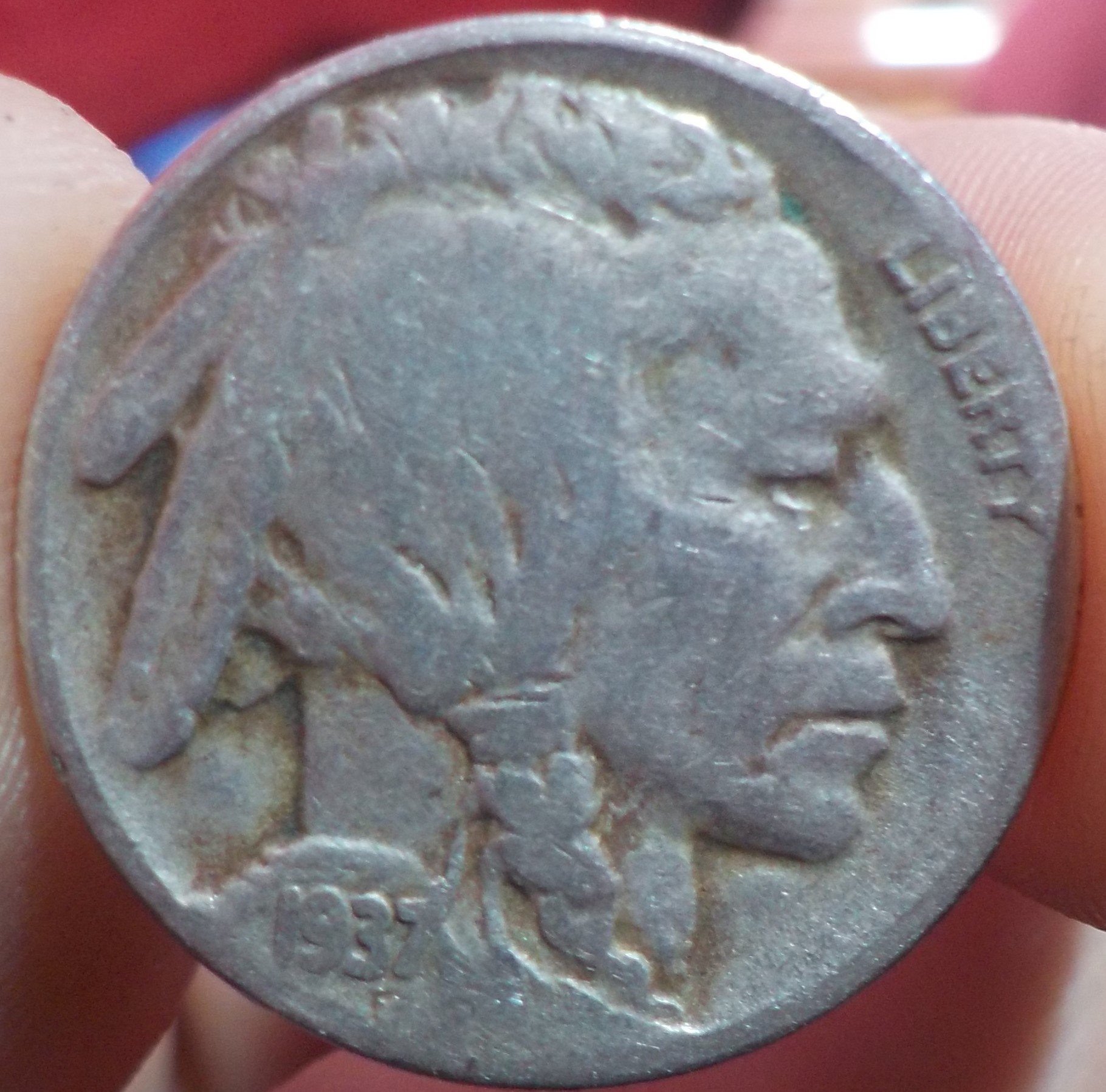 DSCN1061.JPG