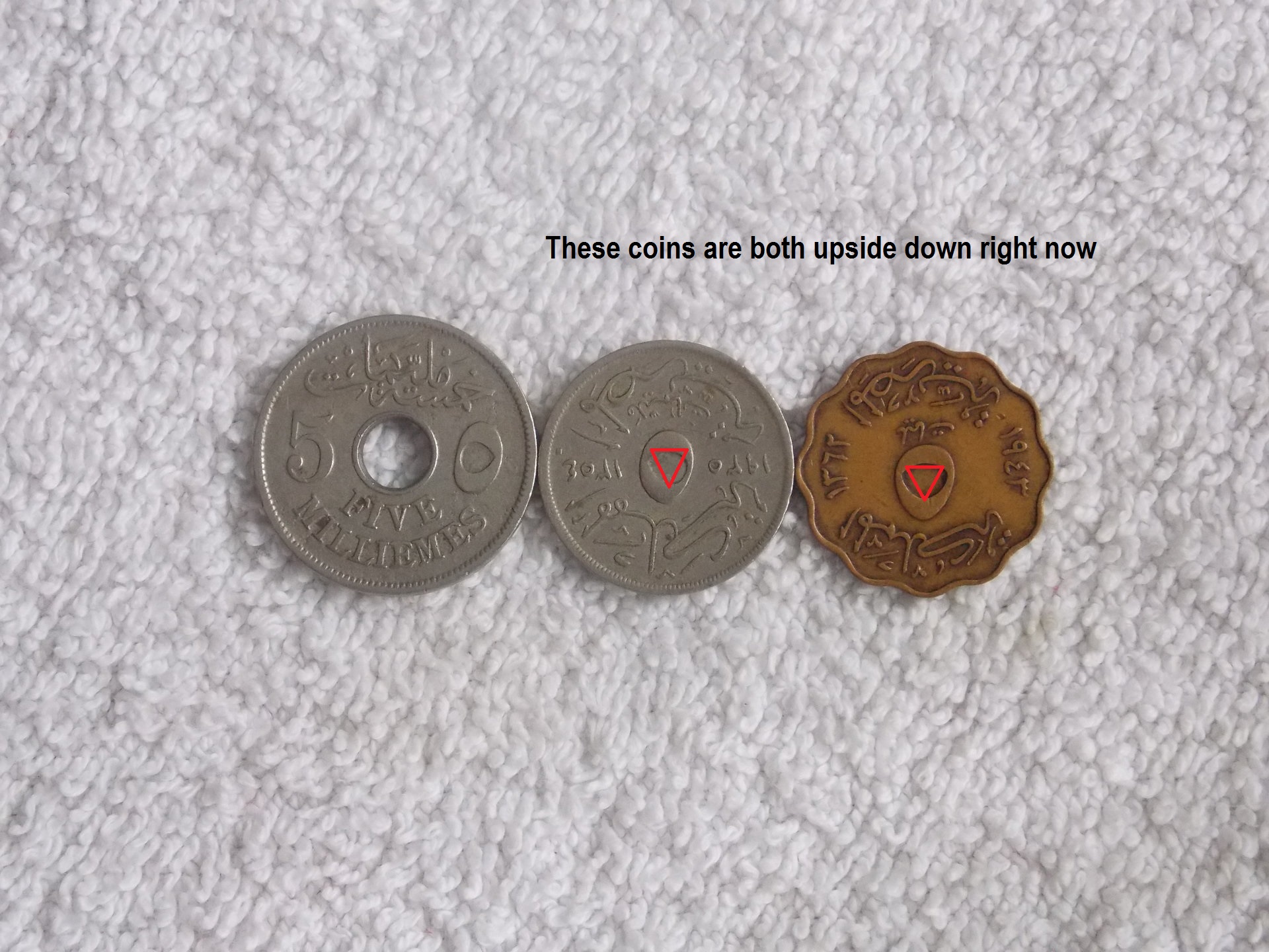 DSCN1124.JPG