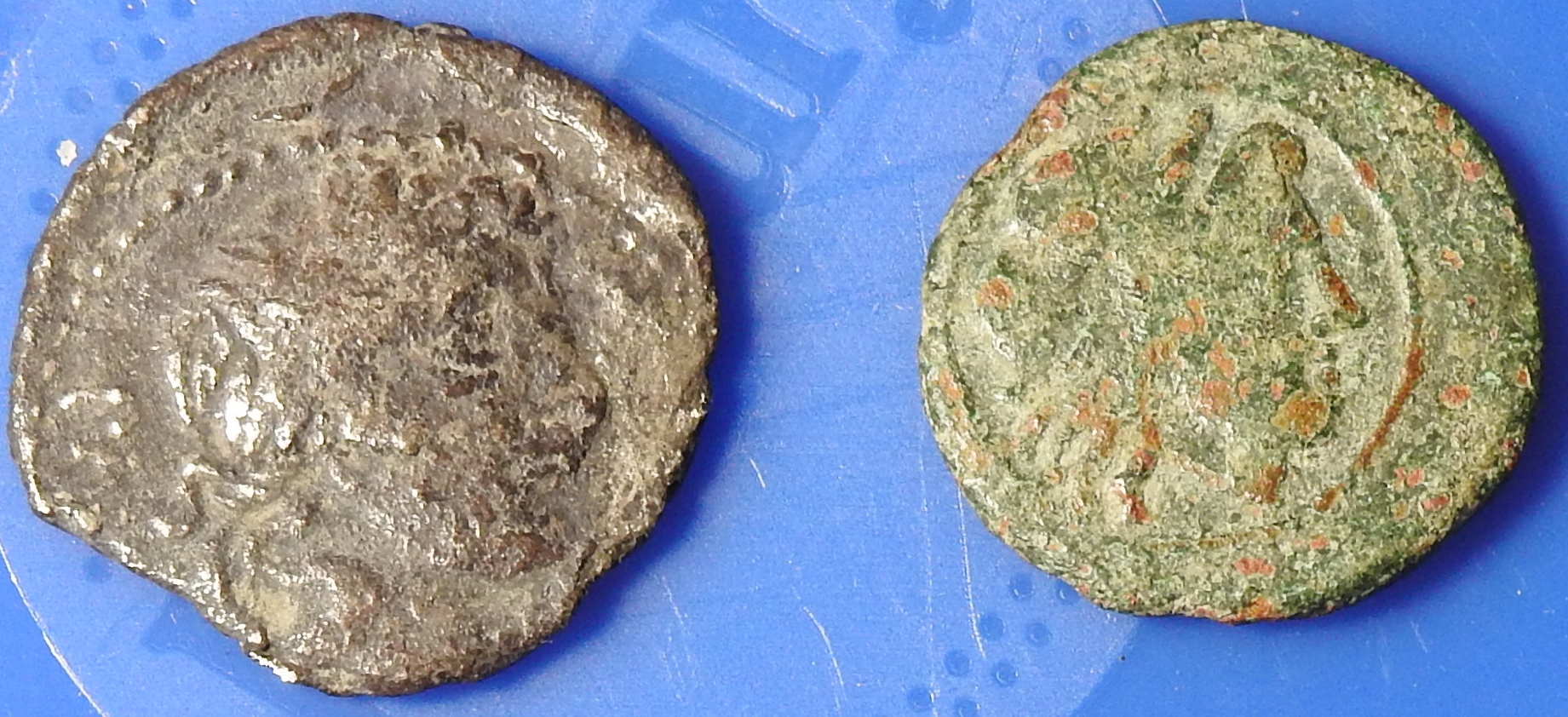 DSCN1137.JPG