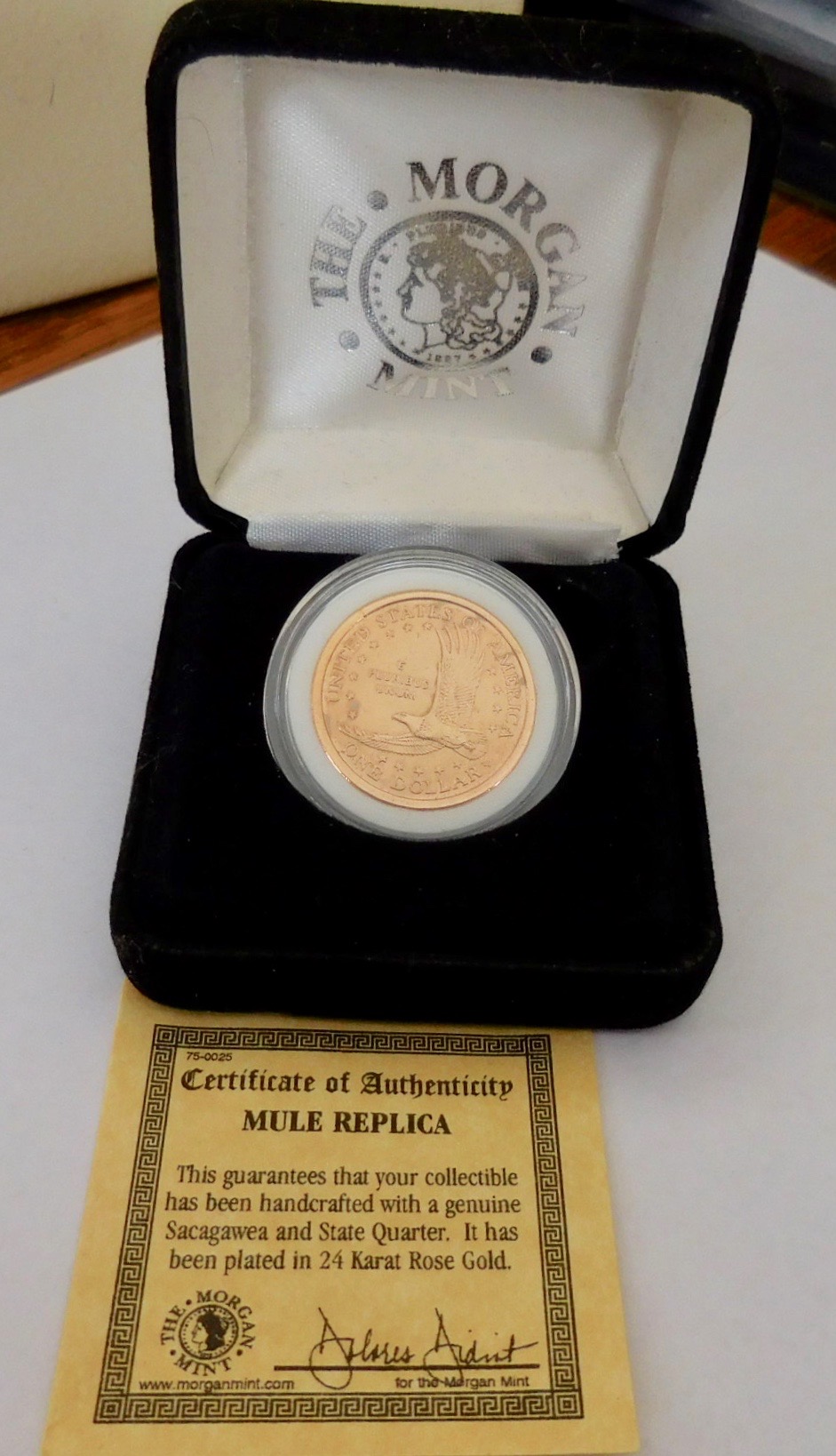 DSCN1153.jpg