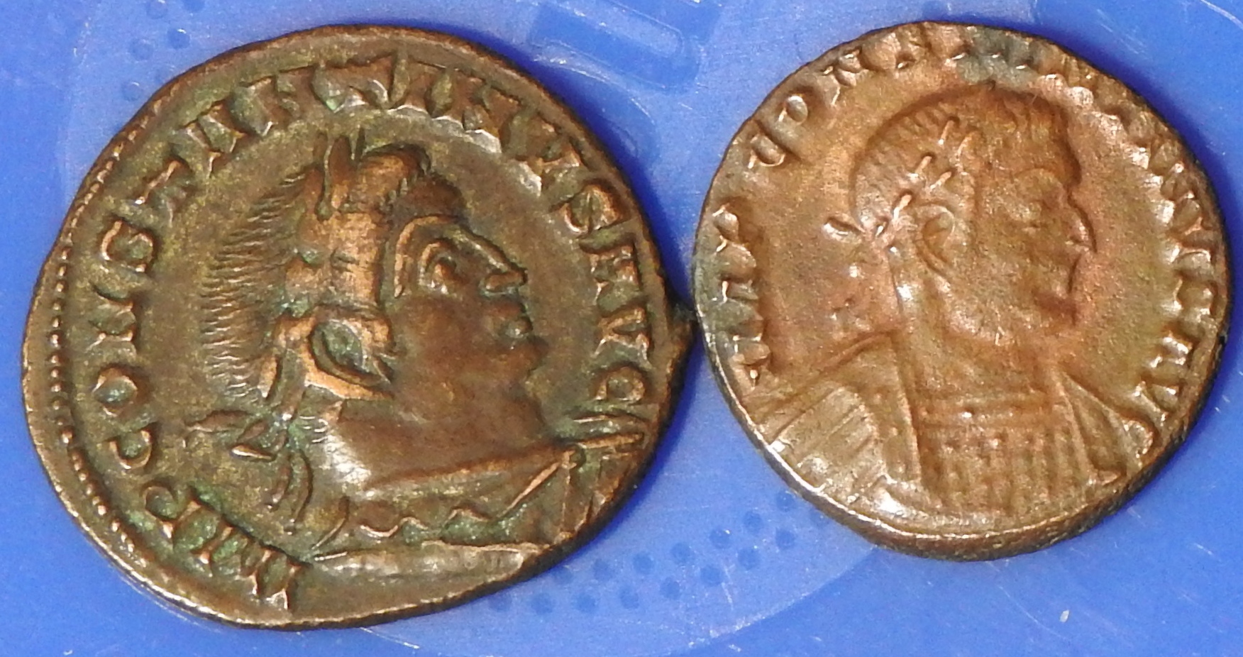 DSCN1176.JPG