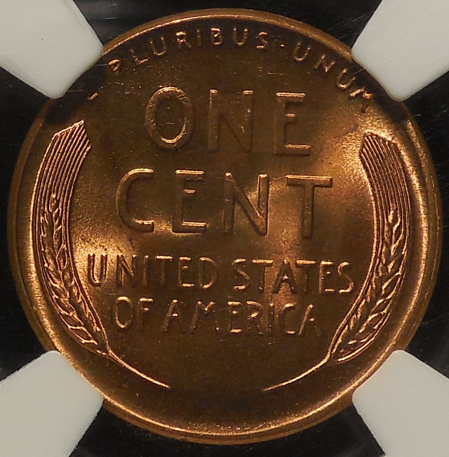 DSCN1187.JPG