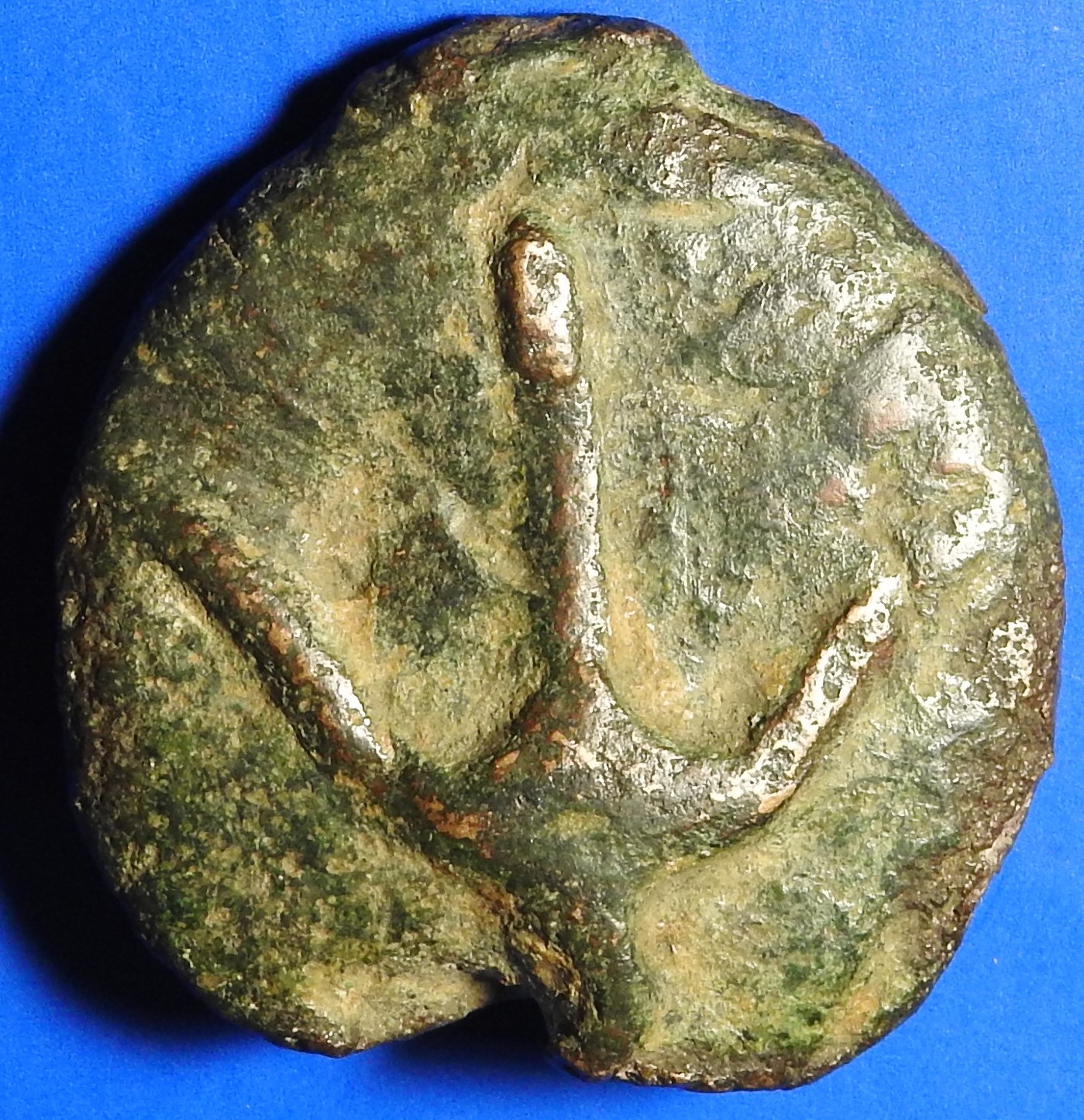 DSCN1190.JPG