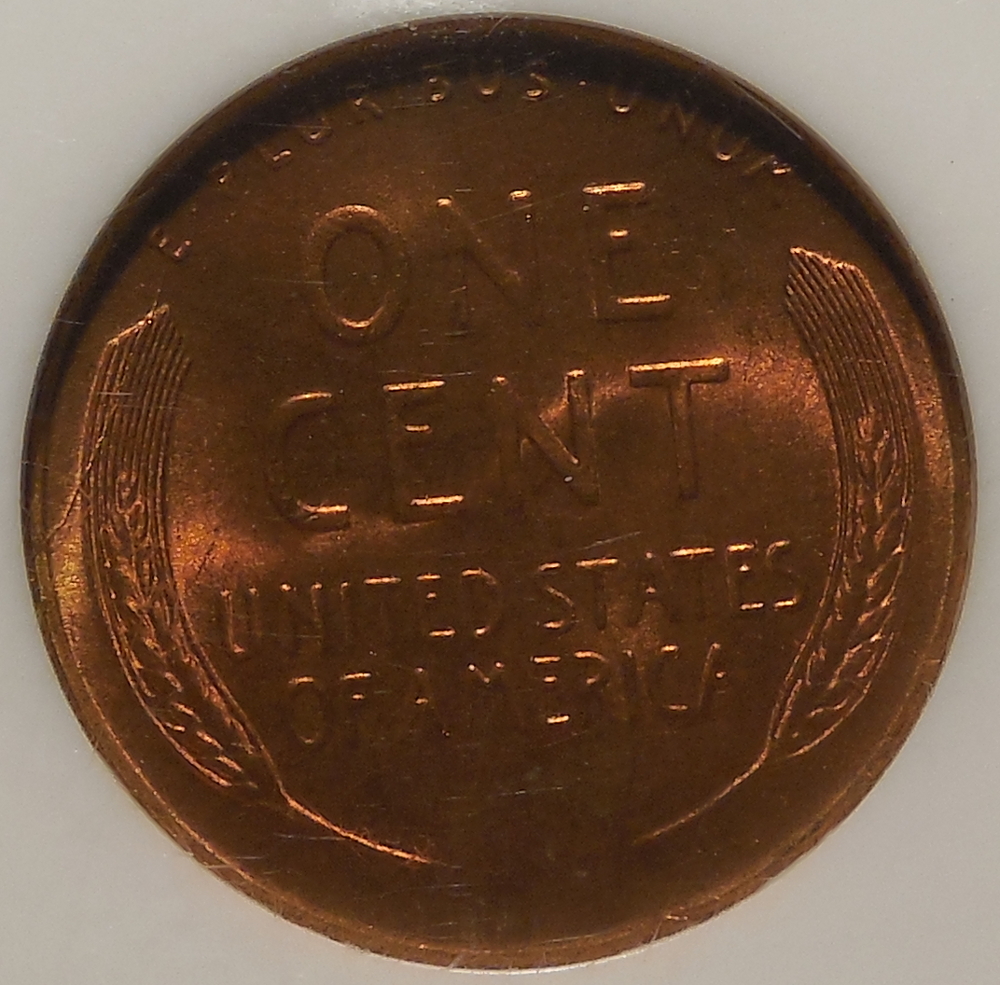 DSCN1208.JPG