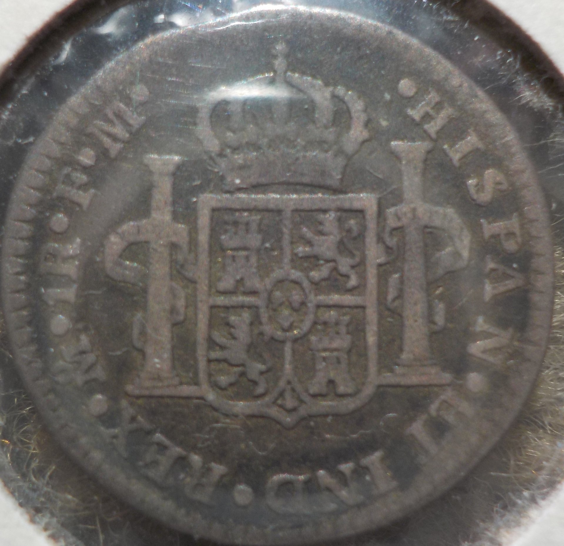 DSCN1362.JPG