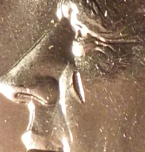 DSCN1398.JPG