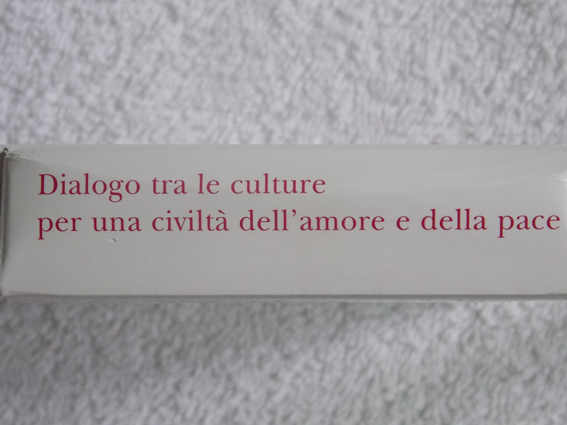 DSCN1433.JPG