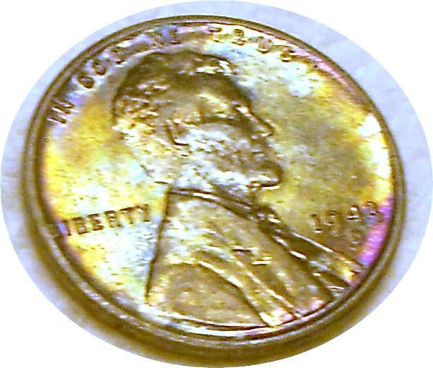DSCN1530.JPG