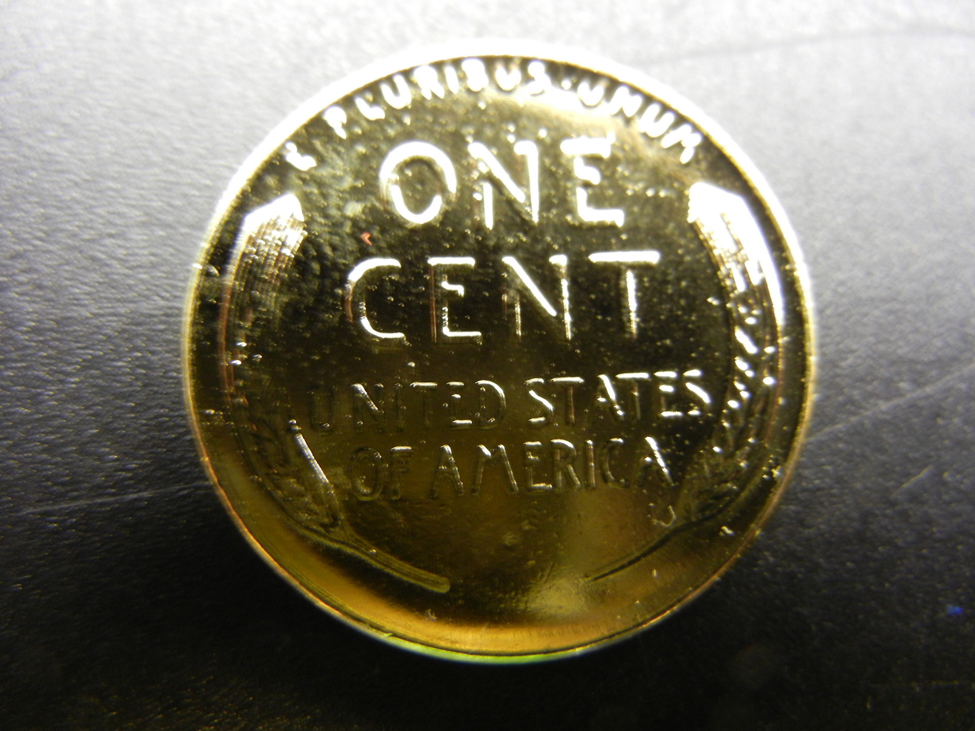DSCN1727.JPG