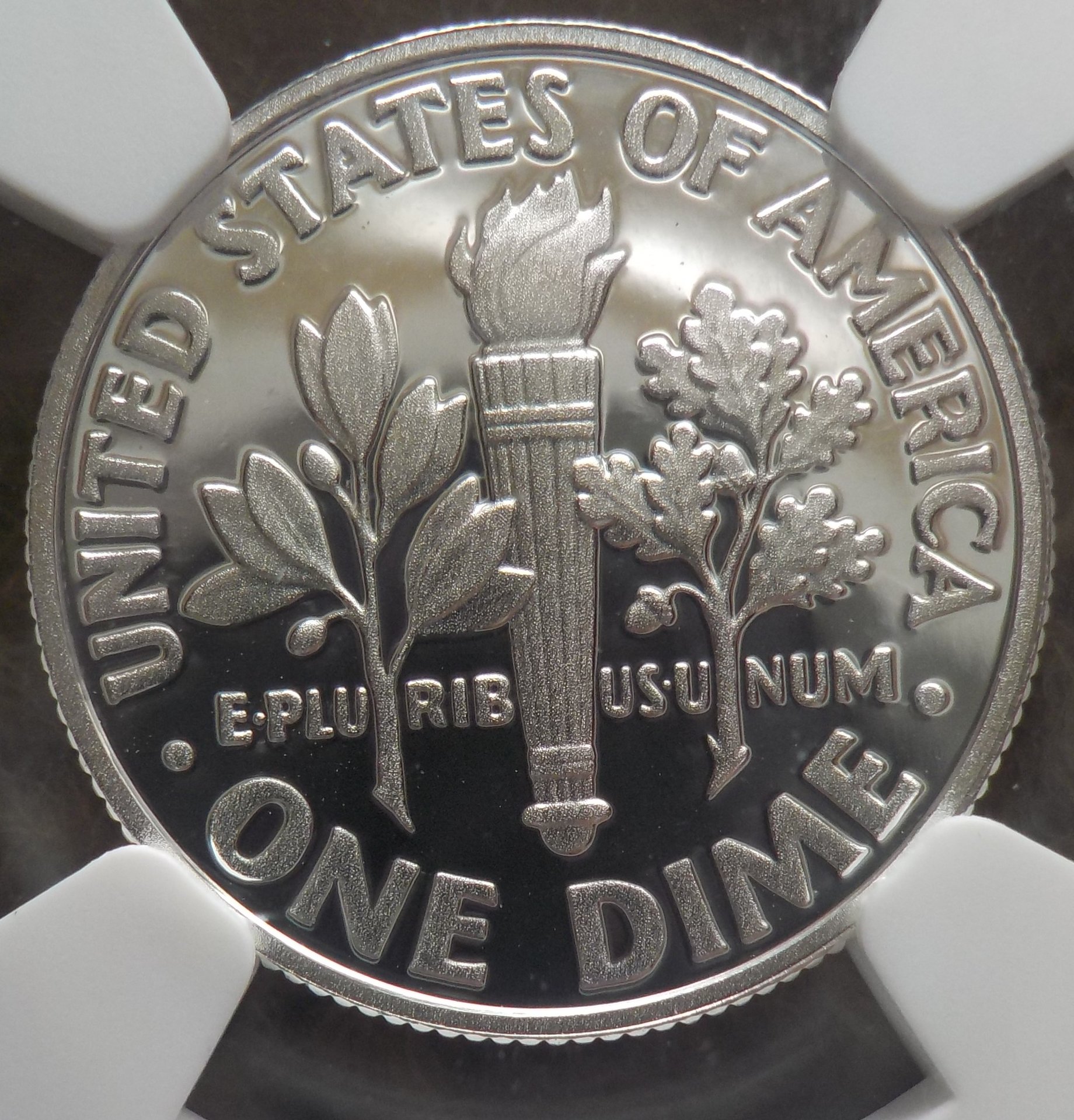 DSCN1772.JPG