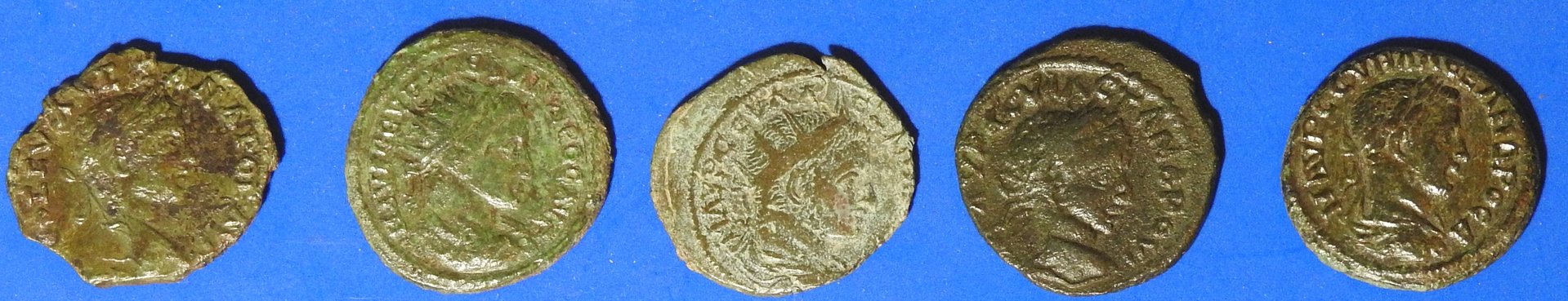 DSCN1772.JPG