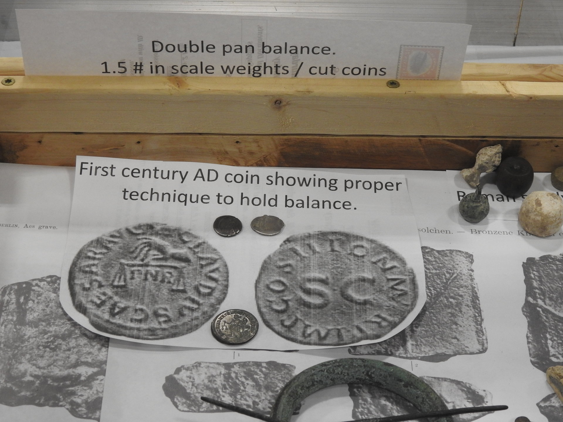 DSCN1822 tna scale.JPG