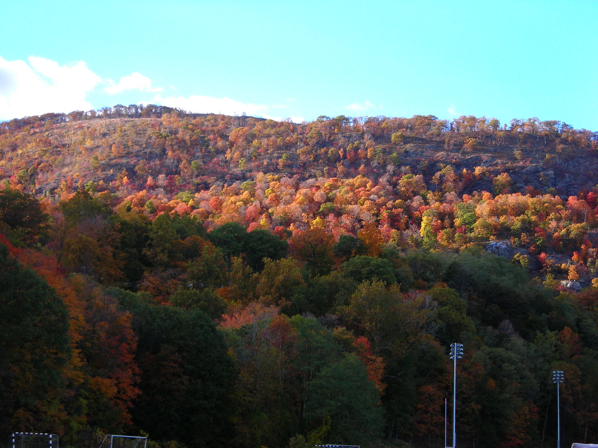 DSCN1952.JPG