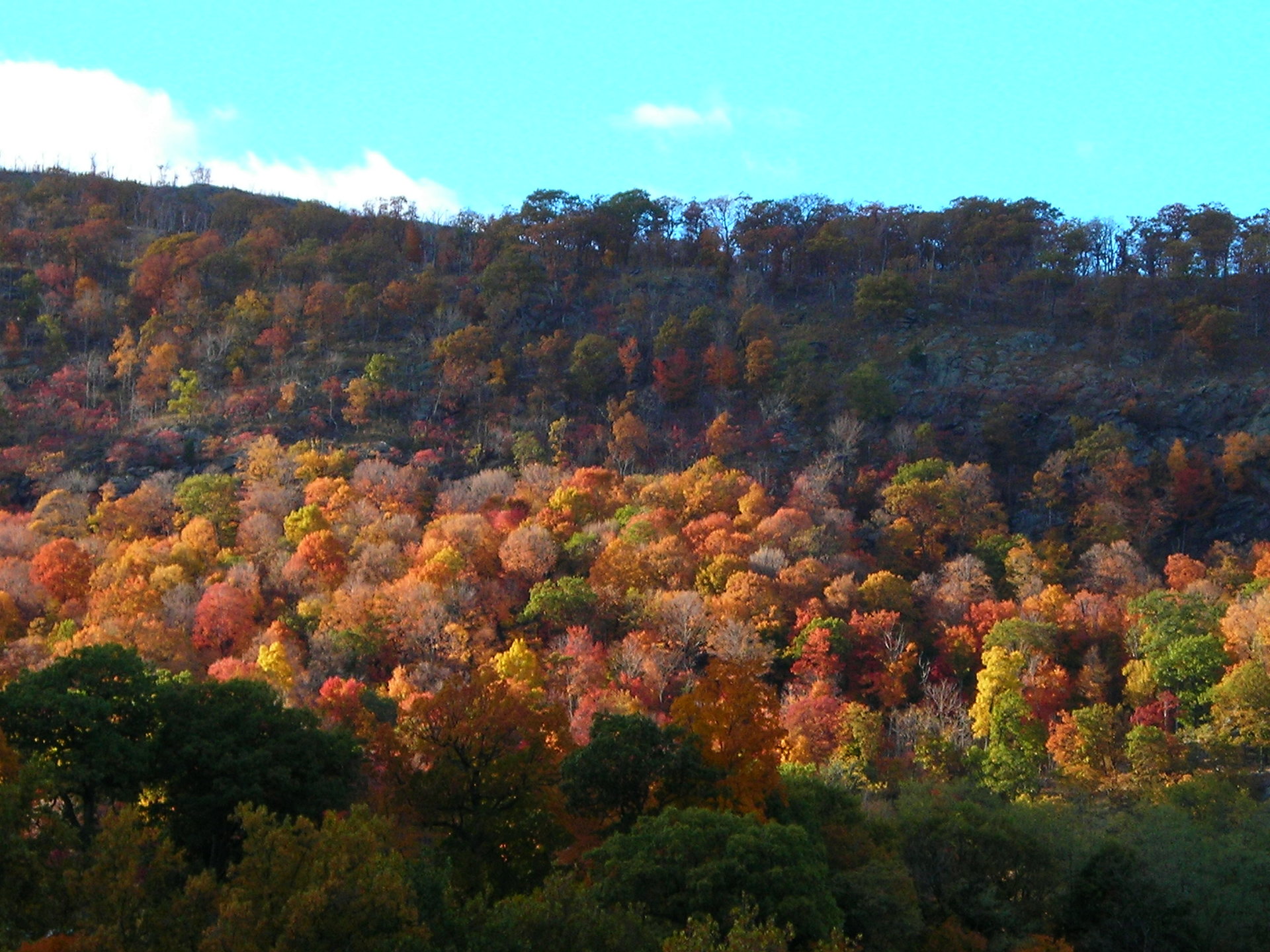 DSCN1955.JPG