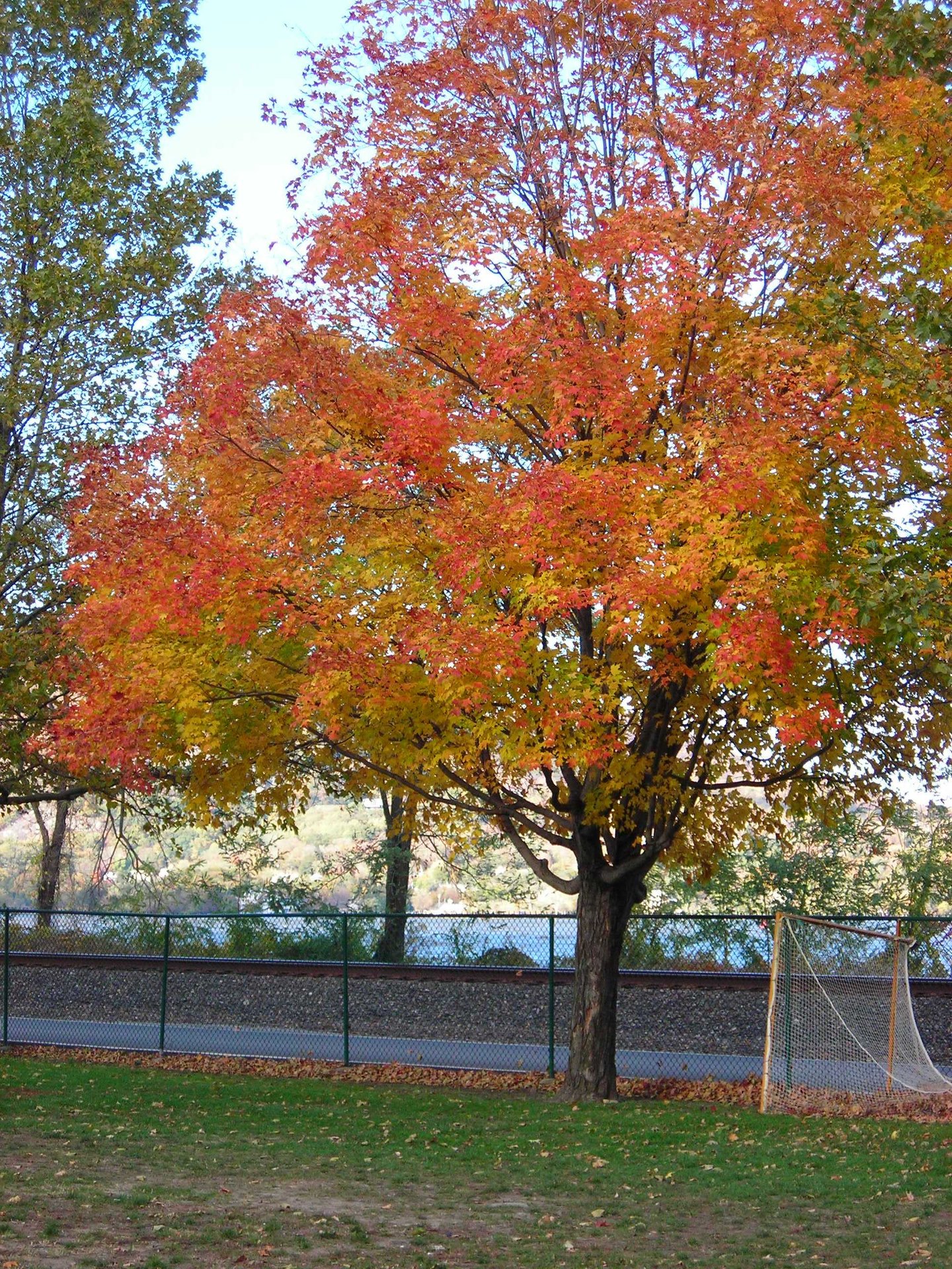 DSCN1956.JPG