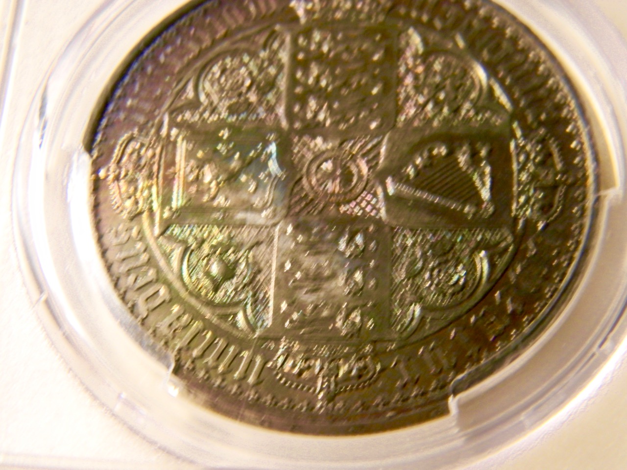 DSCN1958.jpg