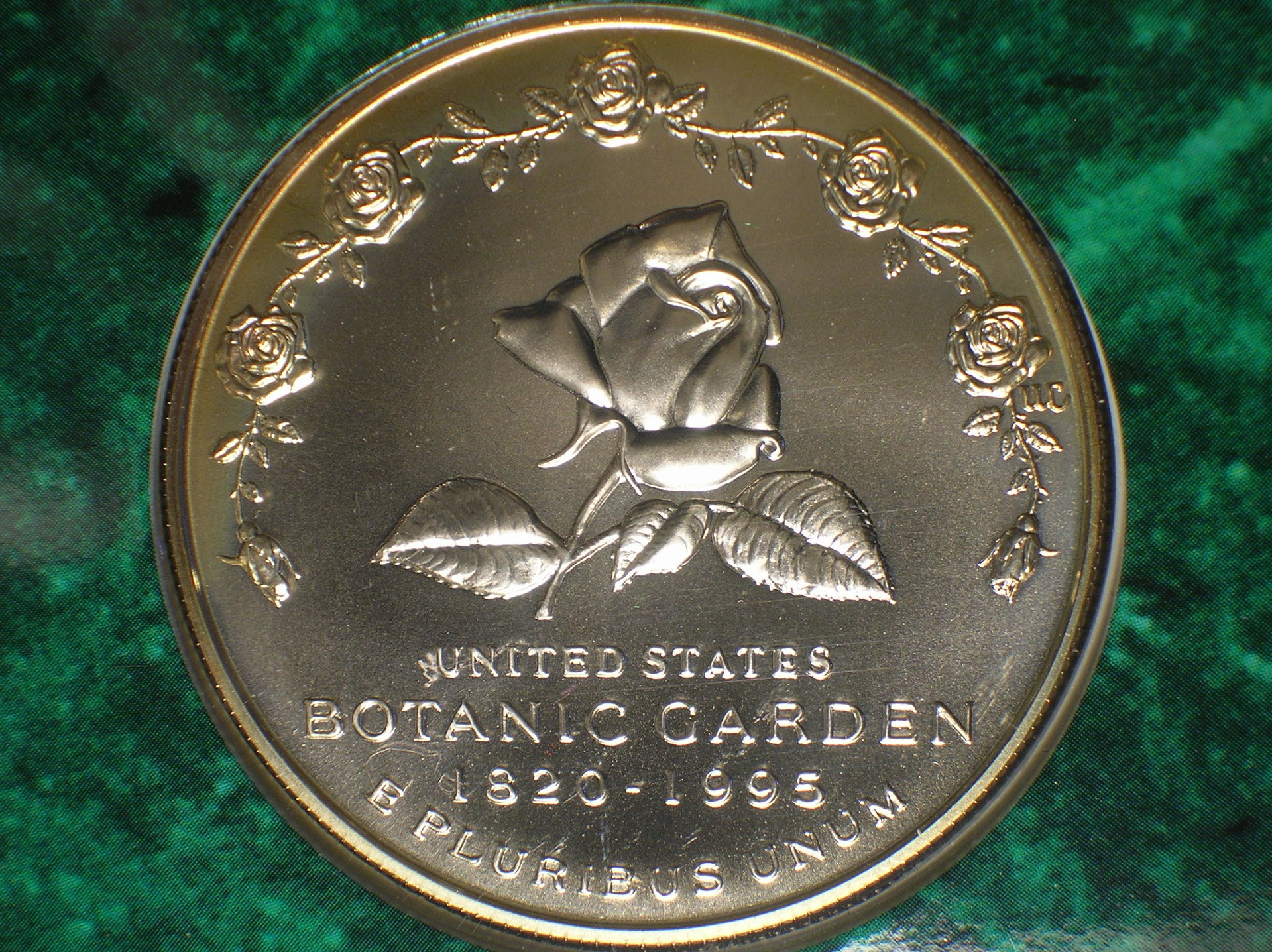 DSCN2029.JPG
