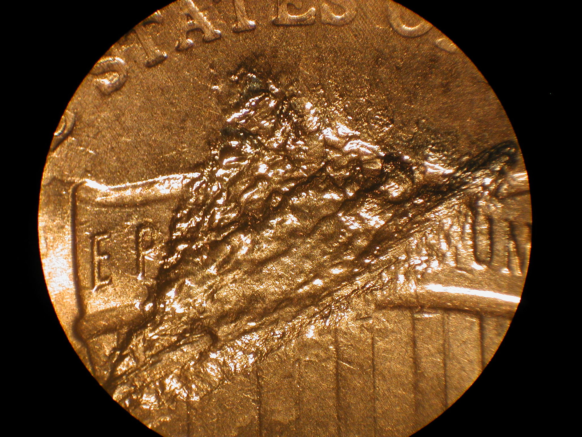 DSCN2071.JPG