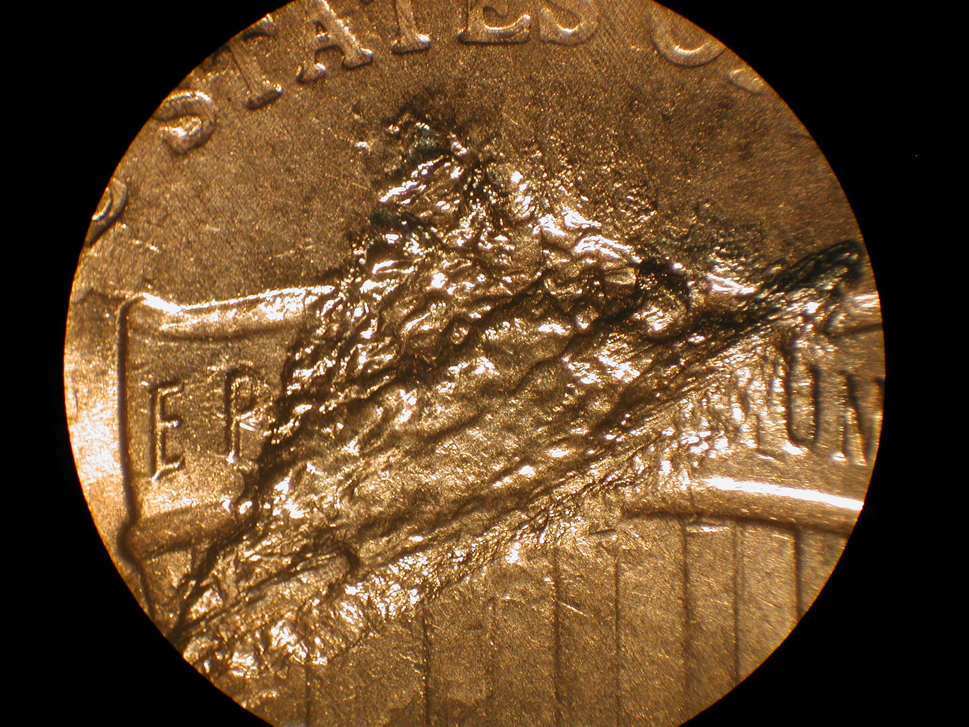 DSCN2073.JPG