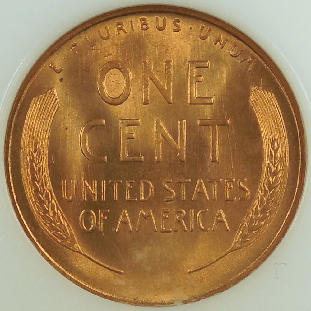 DSCN2164.JPG
