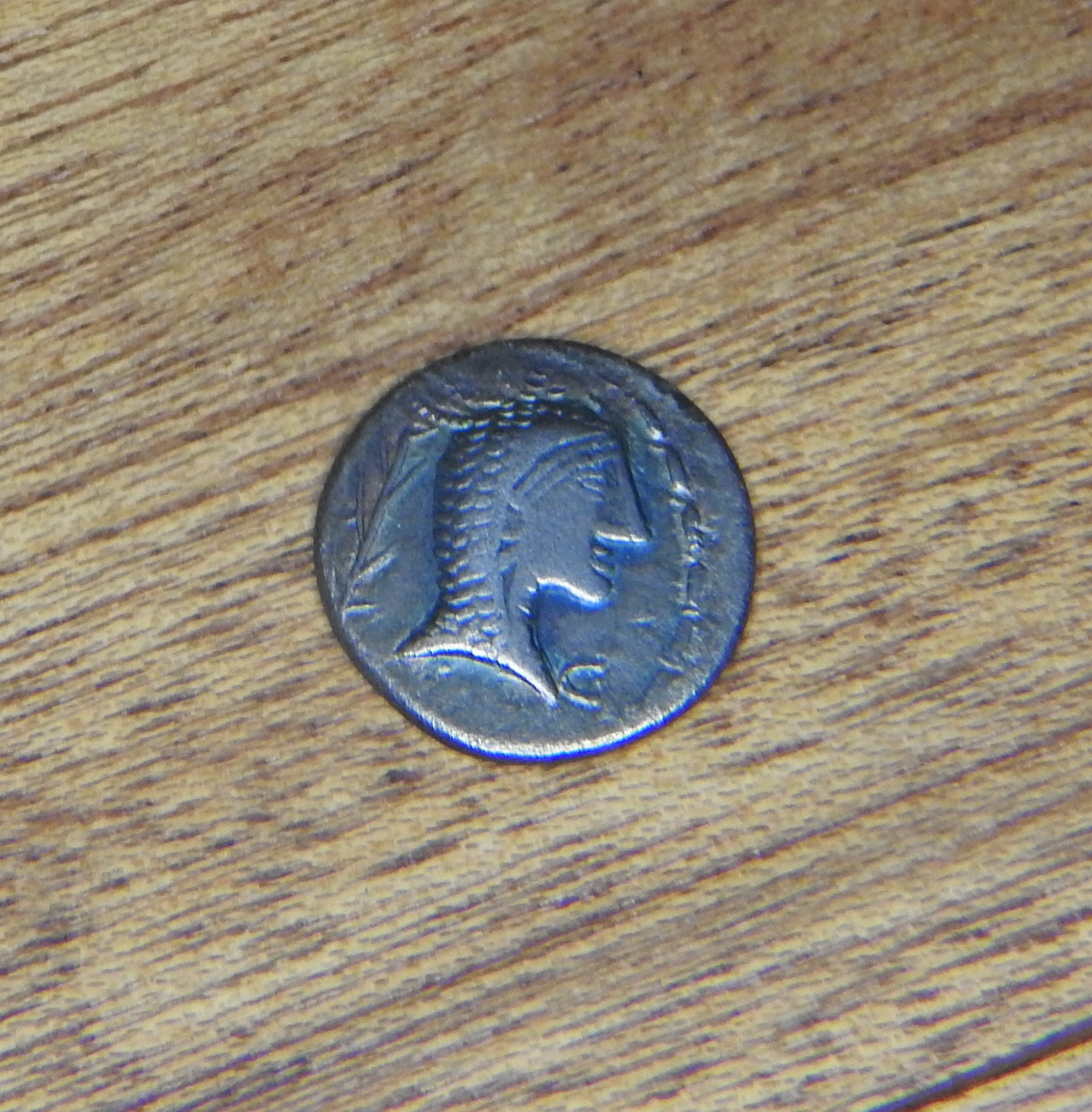 DSCN2217.JPG