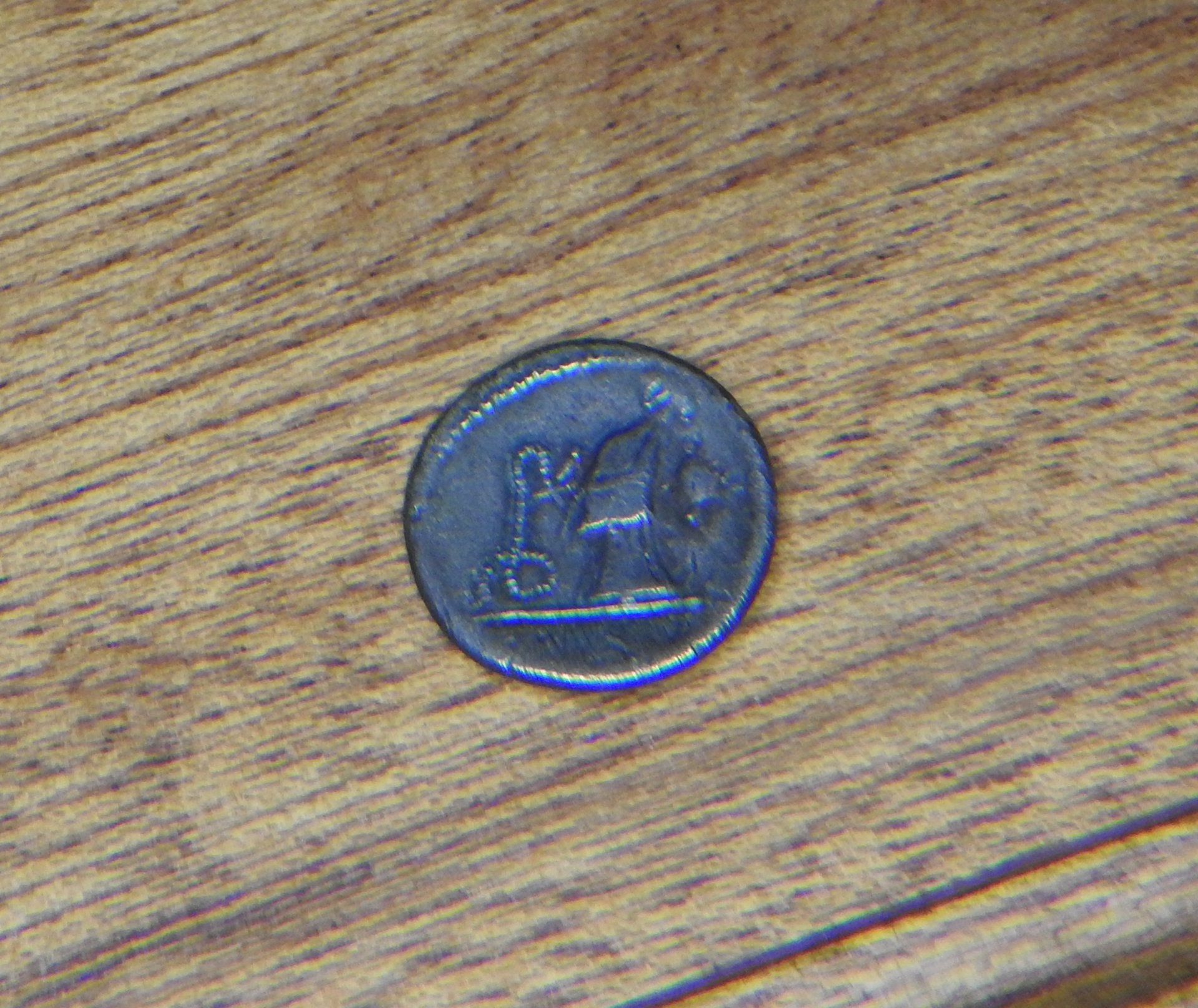 DSCN2218.JPG