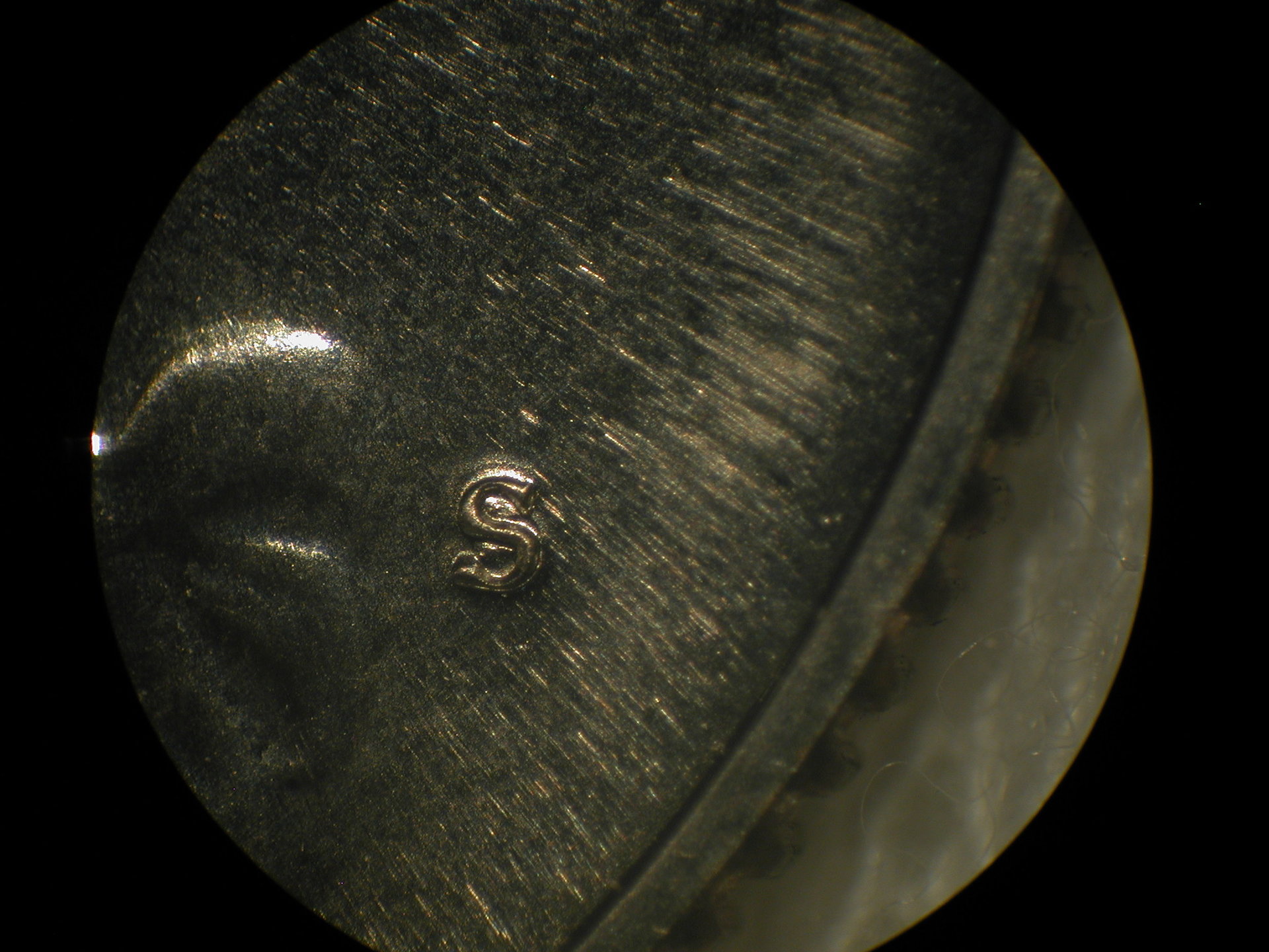 DSCN2257.JPG