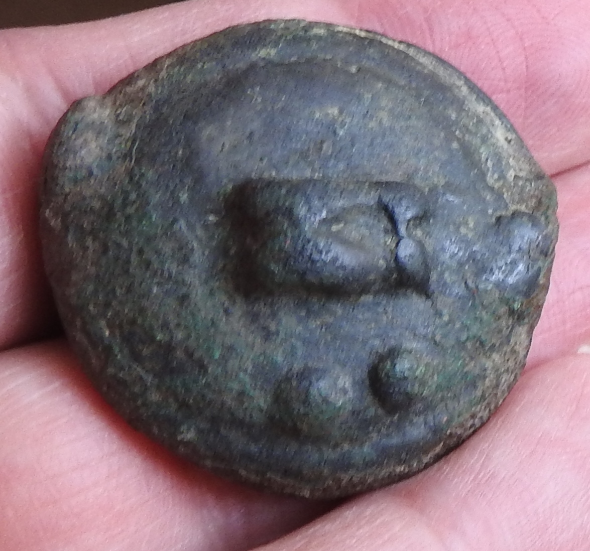 DSCN2271.JPG