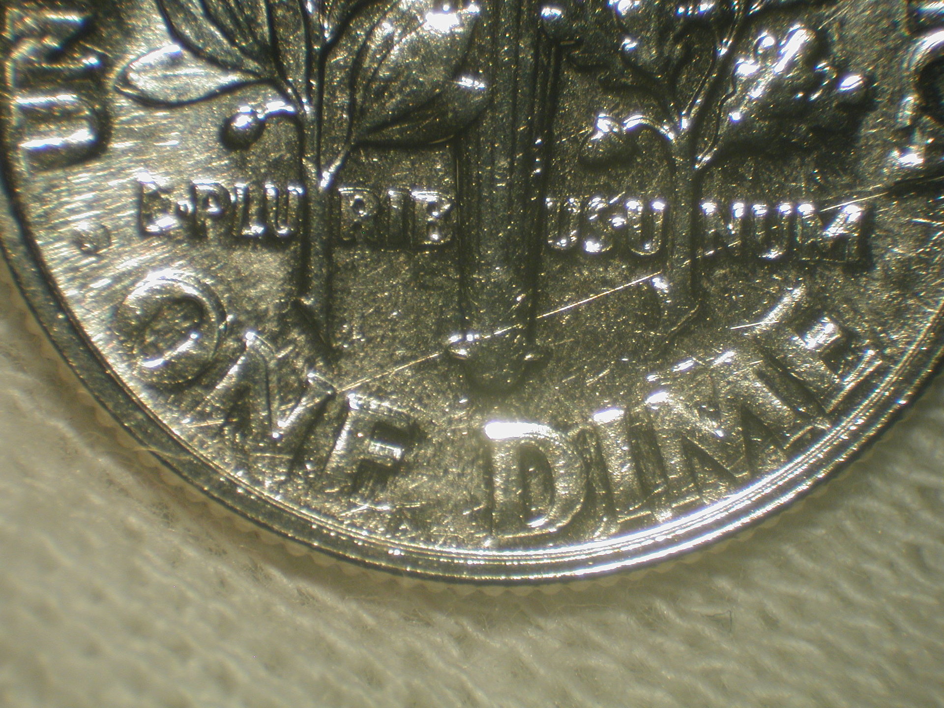 DSCN2289.JPG