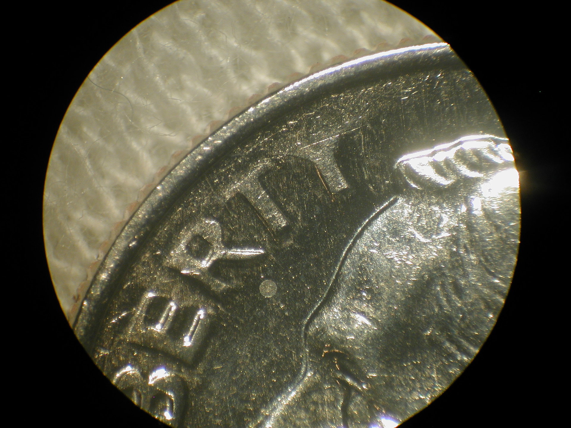 DSCN2295.JPG