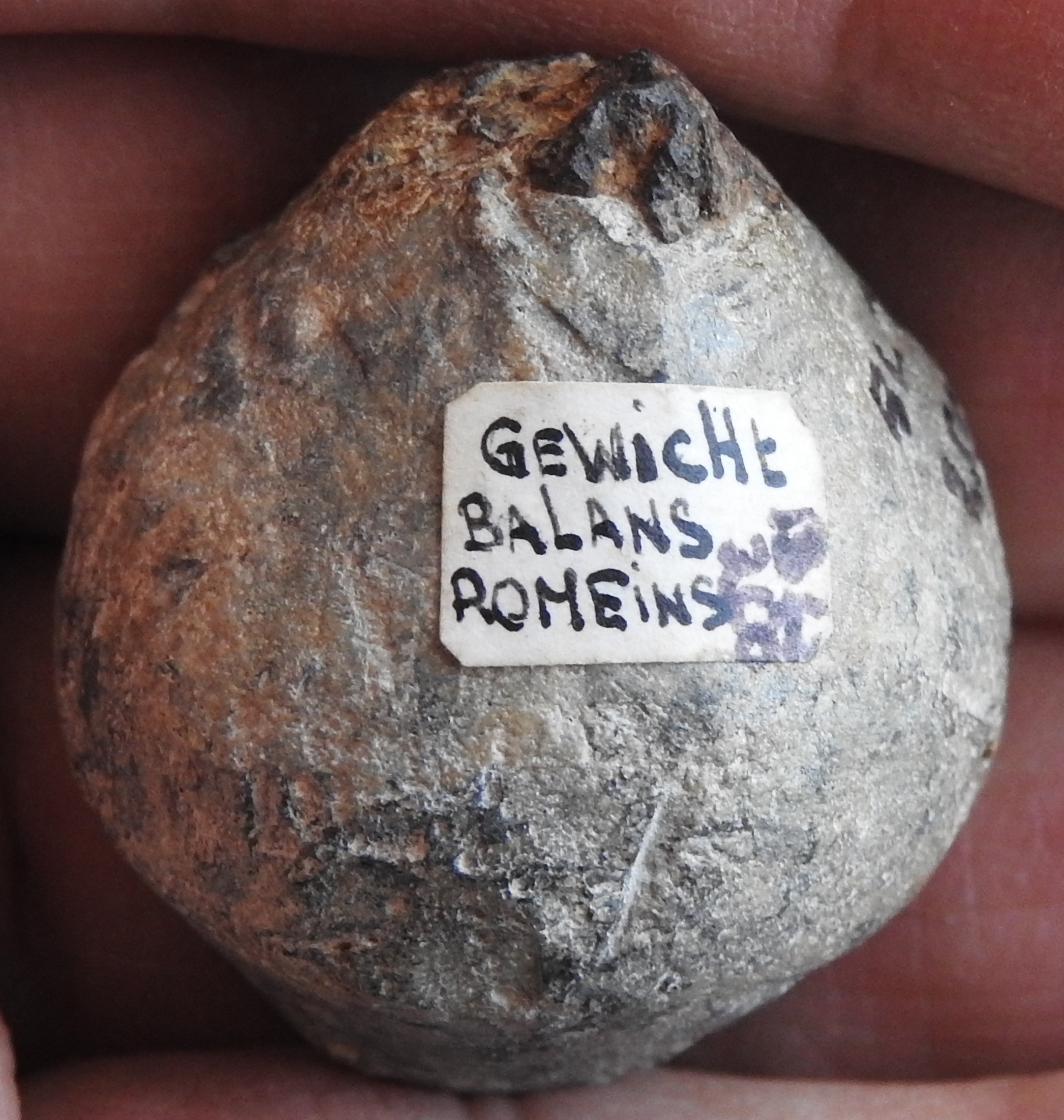 DSCN2406.JPG
