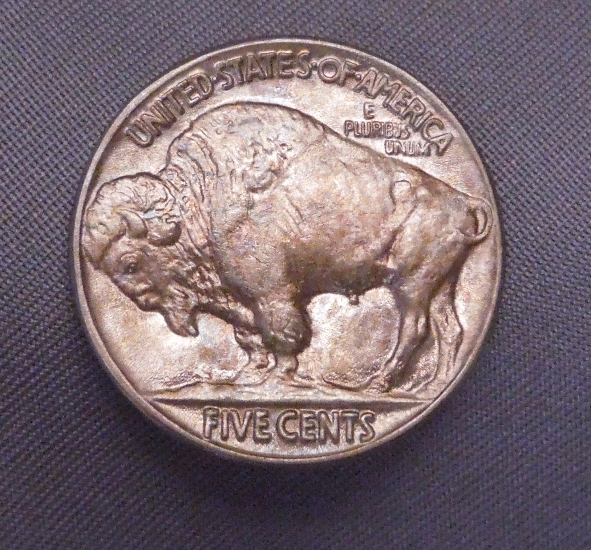 DSCN2413.jpg