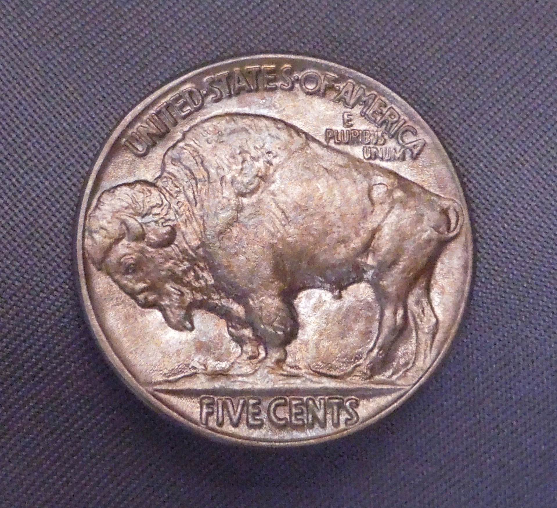 DSCN2415.jpg