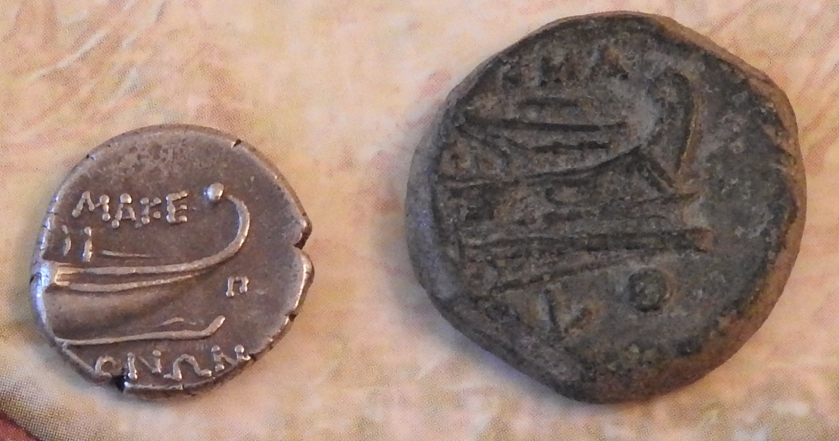 DSCN2446.JPG