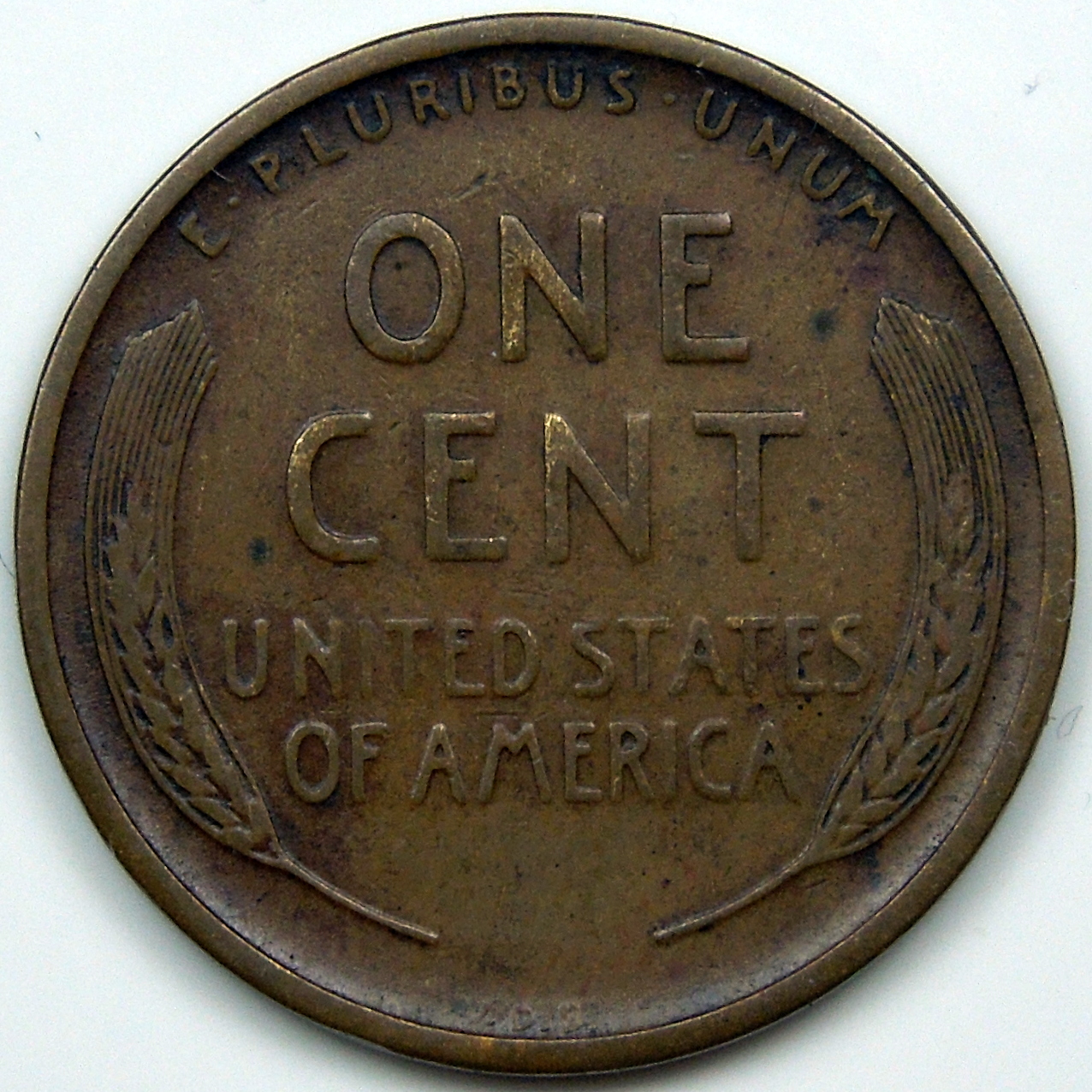 DSCN2487.JPG