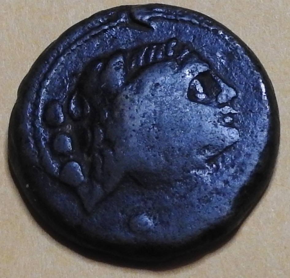 DSCN2490.JPG