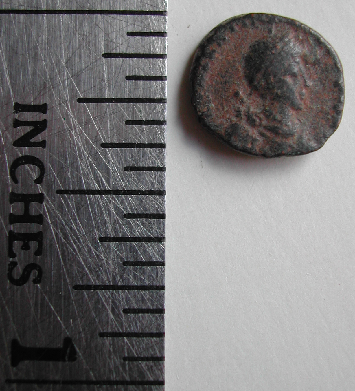 DSCN2508.JPG