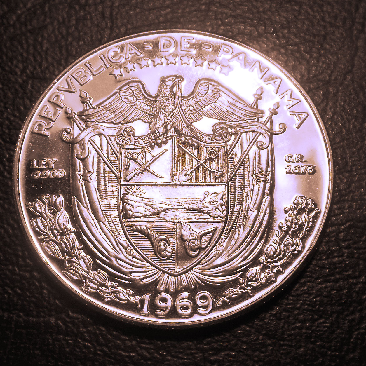 DSCN2535.JPG